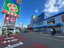 エディオン、ライフ(電気量販店/ホームセンター)まで650m フェリスカーサ・ミオトーヤ