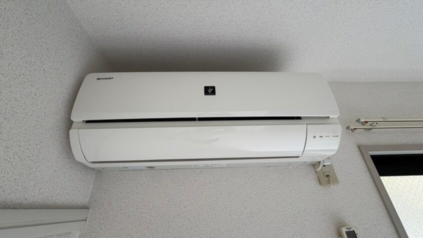 廊下 ディアスフェニックスＢ棟