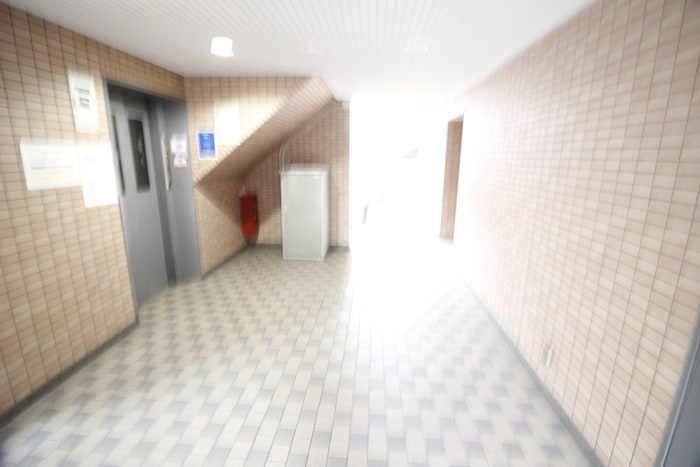 エントランス部分 エコ－ハイツ