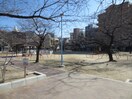 西九条上公園(公園)まで40m ロイヤルコート