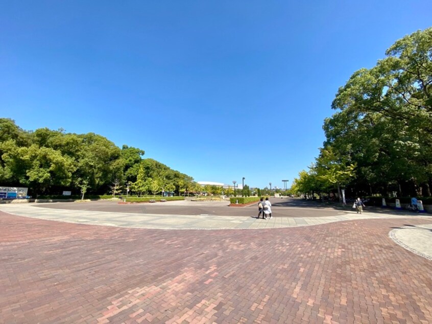 長居公園(公園)まで150m ブエナビスタ長居
