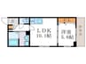 メゾンフェリーチェ 1LDKの間取り