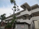 エントランス部分 コスモハイツ