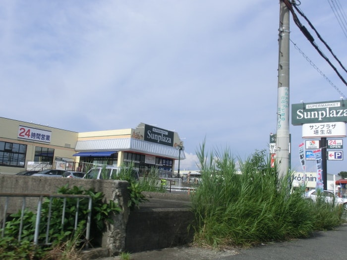 サンプラザ(スーパー)まで751m ラ・シ－ヌ恵我之荘