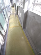 ベランダ・バルコニー フレール江坂レジデンシャル