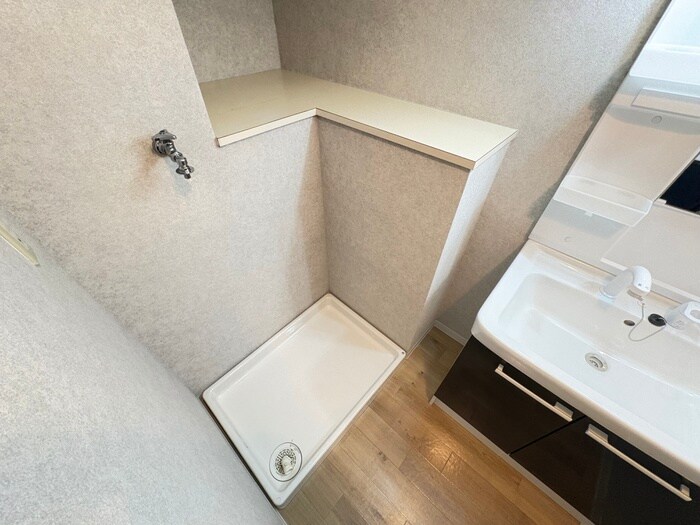 洗濯機置場 ﾗｲﾌｲﾝ水月