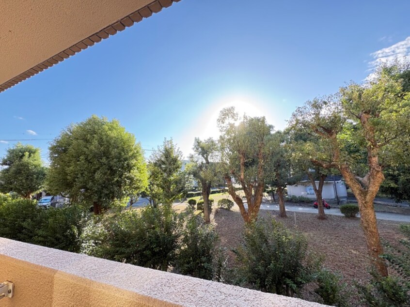 室内からの展望 ﾗｲﾌｲﾝ水月