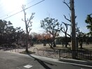 公園(公園)まで520m リバティ－石切