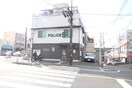 大久保交番(警察署/交番)まで500m パル大久保