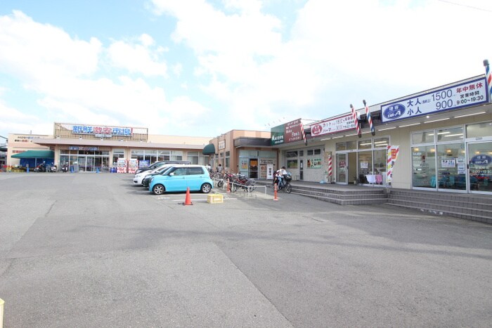 新鮮市場(スーパー)まで810m パル大久保