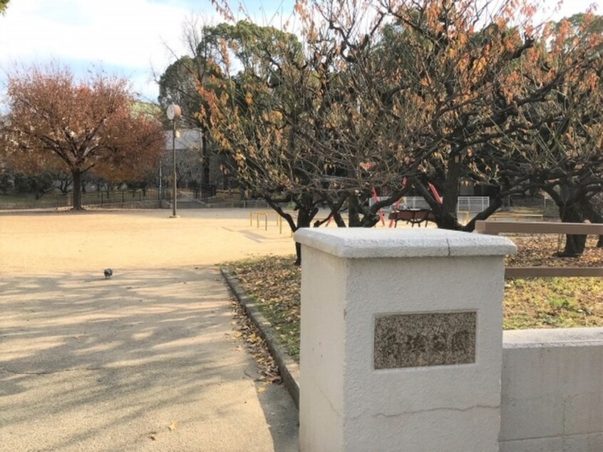 高津公園(公園)まで290m ベルベ・ムラカミ