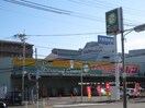 ジャパン吉田店(ディスカウントショップ)まで160m 木の国ハイツ