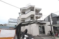 セトラⅣ