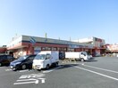 コノミヤ大蓮東店(スーパー)まで600m ラ・メゾン・シャルマントＣ棟