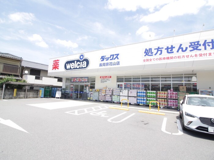 ダックス 長岡京井ノ内店(ドラッグストア)まで300m パレヴェ－ル