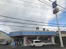 ローソン膳所本町店(コンビニ)まで300m はまだ18