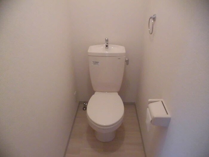 トイレ サルフレア