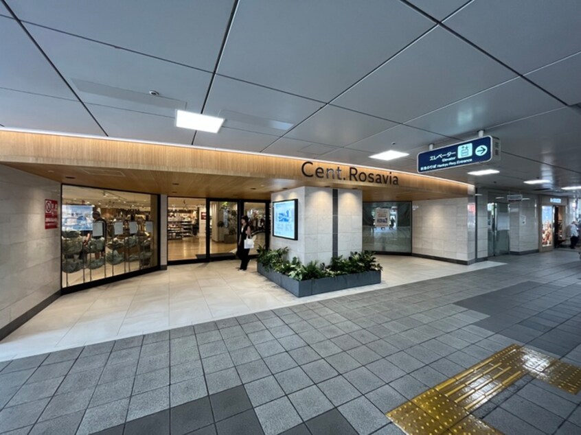 ロサヴィア(ショッピングセンター/アウトレットモール)まで450m Primrose INABA