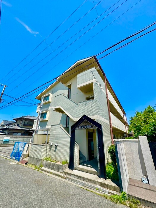 エントランス部分 シェリ－ル浜寺