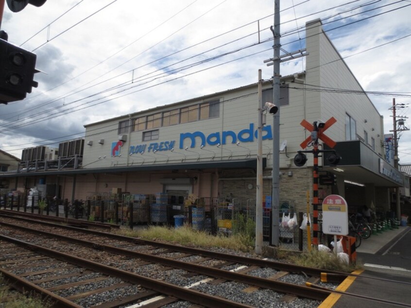 マンダイ(スーパー)まで950m シェリ－ル浜寺