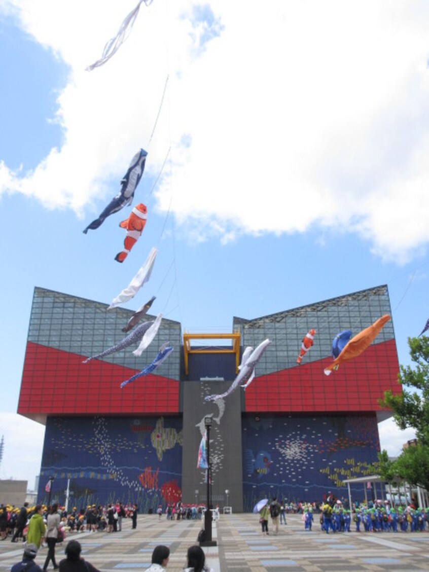 海遊館(美術館/博物館)まで624m ビヤンポ－ト