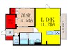 グロリア江坂 1LDKの間取り