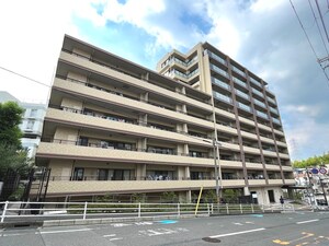 ﾜｺｰﾚ緑地公園ｸﾞﾚｲｽｶﾞｰﾃﾞﾝ(207)