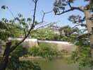 岸和田城(公園)まで900m レジデンス寿楽日光