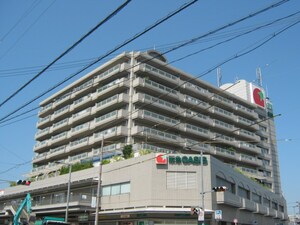 フォルテ摂津(503)