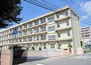 錦浦小学校(小学校)まで400m シ－サイドハイツＢ棟