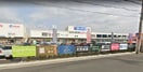 コーナン堺高須店(ショッピングセンター/アウトレットモール)まで1300m フジパレス堺浅香Ⅱ番館