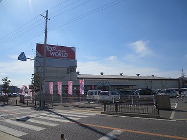 TOP WORLD枚方店(スーパー)まで582m 京阪錦マンション