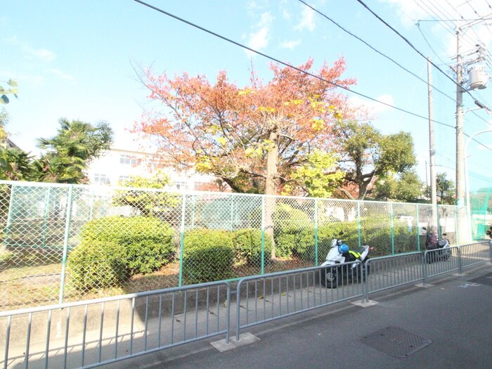 石橋小学校(小学校)まで1100m カーサコモドⅣ