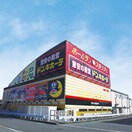 ドンキホーテ(ディスカウントショップ)まで1500m ラフィ－ネ二ツ屋