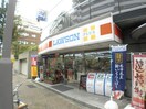 ローソン(コンビニ)まで310m プレ－ヌリュンヌ