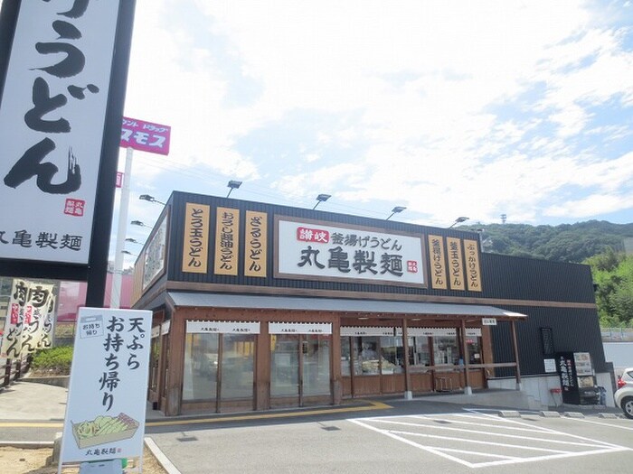 丸亀製麺(その他飲食（ファミレスなど）)まで1100m 森本文化