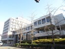 池田市役所(役所)まで770m クレイン上池田