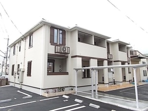 ビータ　プラシード