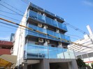 アリコヴェール和上の外観