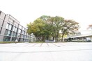 大阪市立大学(大学/短大/専門学校)まで450m エクセレーヌ山之内