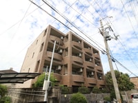 アイビースクエアー