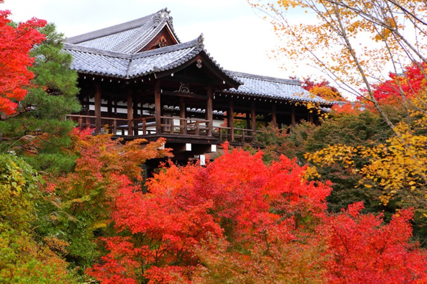 東福寺(公園)まで10m メゾン東里苑