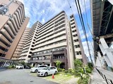 スプランディッドⅡ