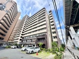スプランディッドⅡ