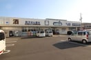 ダックス(ドラッグストア)まで400m 小倉町南浦貸家
