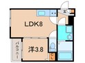 MAXIV CITY 神戸鷹取　TREの間取図