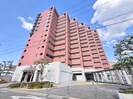 ﾃﾞ･ﾘｰﾄﾞ&ｻﾝｳﾞｪｰﾙ桂川東(509)の外観