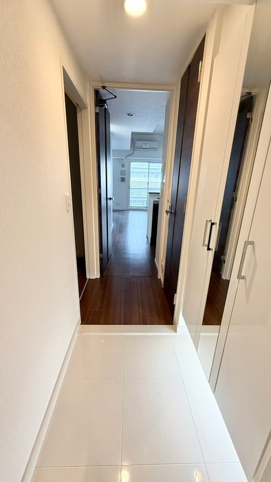 玄関 エステムプラザ梅田（703）