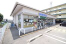 ミニストップ　京都嵯峨明星町店(コンビニ)まで500m ルピナス嵯峨