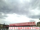 コスモス安孫子店(ドラッグストア)まで750m パ－クサイドチェリ－